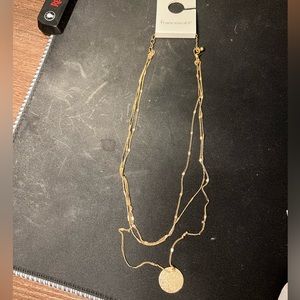 Francesca’s Gold Layer Chain Necklace